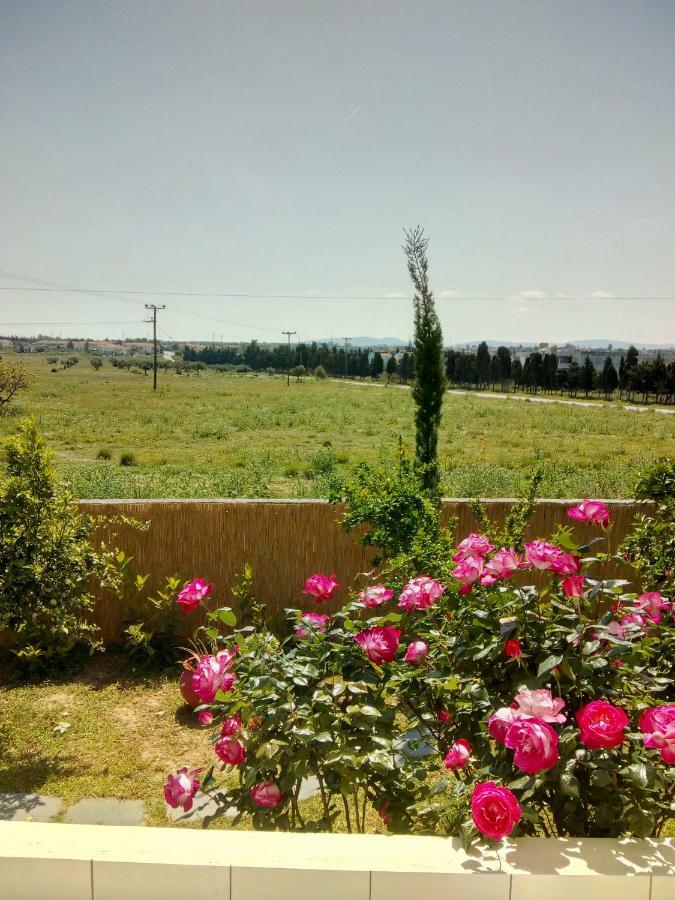 Studio Poseidonia Apartment 75Sqm Corinth Canal Εξωτερικό φωτογραφία