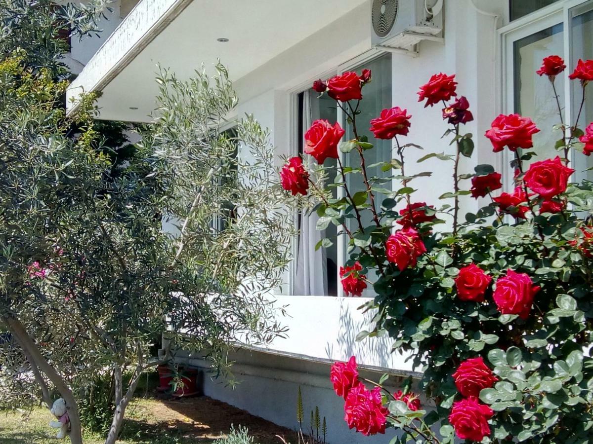 Studio Poseidonia Apartment 75Sqm Corinth Canal Εξωτερικό φωτογραφία